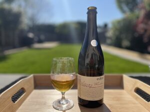 Eden - Stoarmy Weather - Cider in glass and bottle - featured image