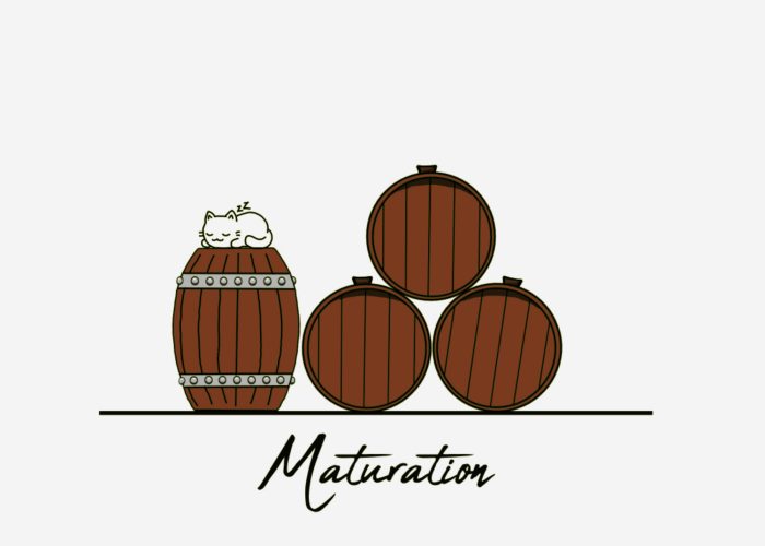 How cider is made – 5 Maturation How cider is made - 5 Maturation